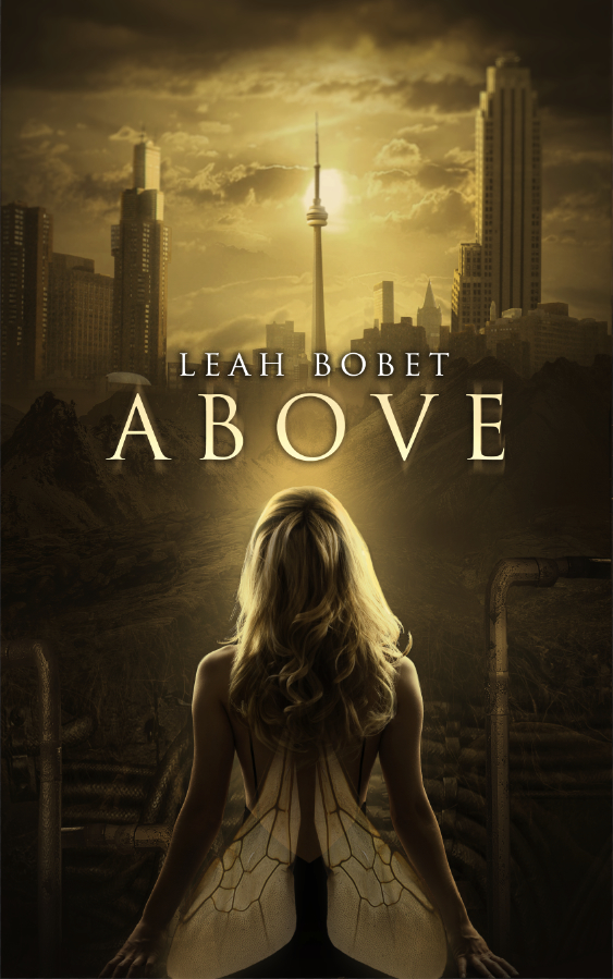 Cover photo of Above courtesy of http://www.leahbobet.com/fiction.html